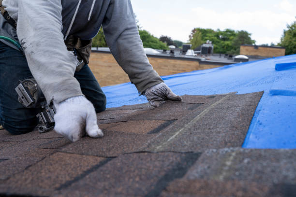 Professional Roofing Contractor in Sandston, VA